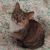Profile picture of Luna Lopez
