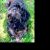 Profile picture of Nellie Henderson