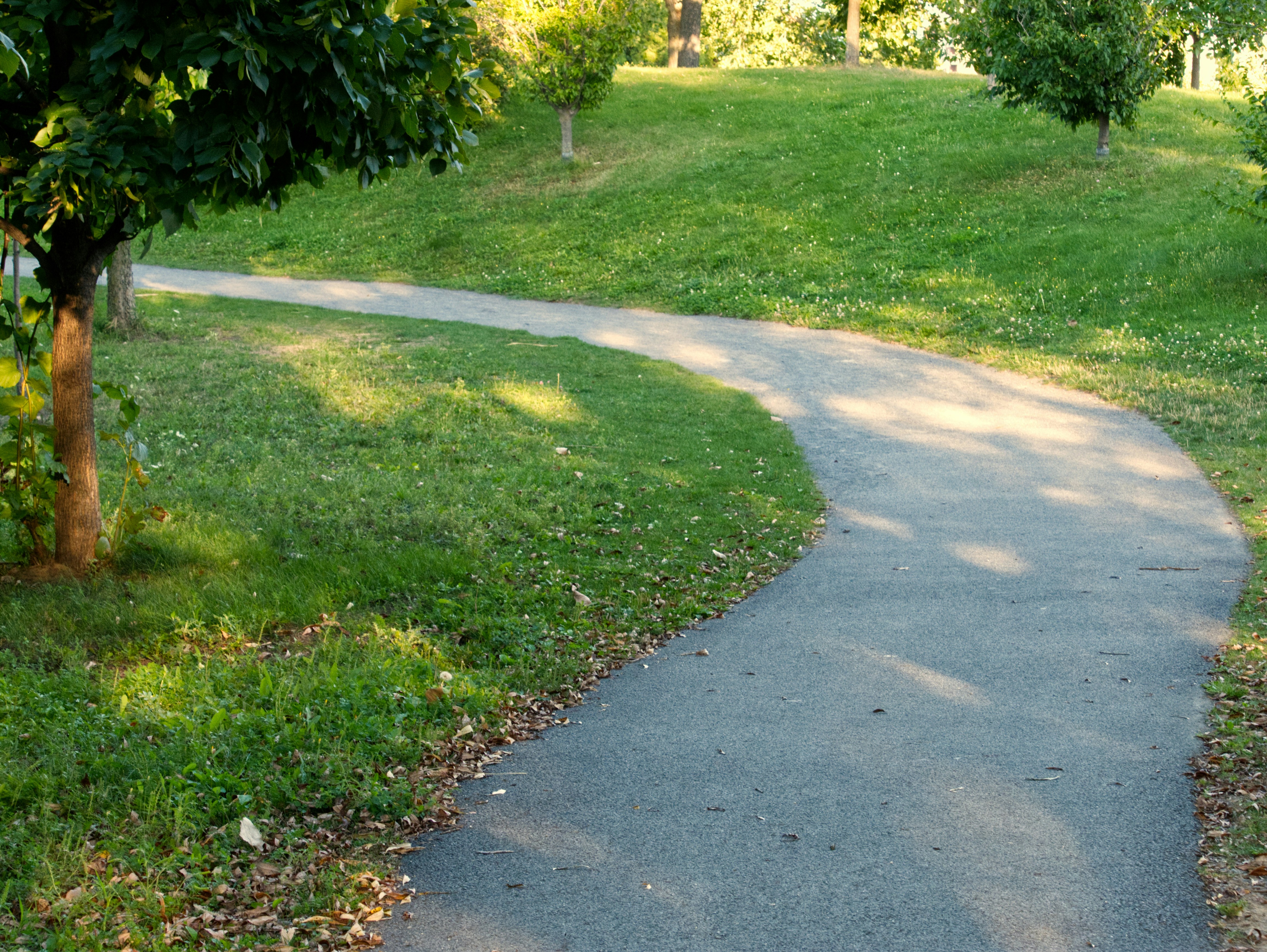 Write a poem (or letter) about a turning point in your life